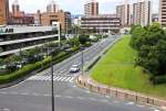 〈やっぱり現状のままにします…〉緑地部分まで拡幅する計画の廃止方針が決まった県庁横の道路＝鹿児島市鴨池新町