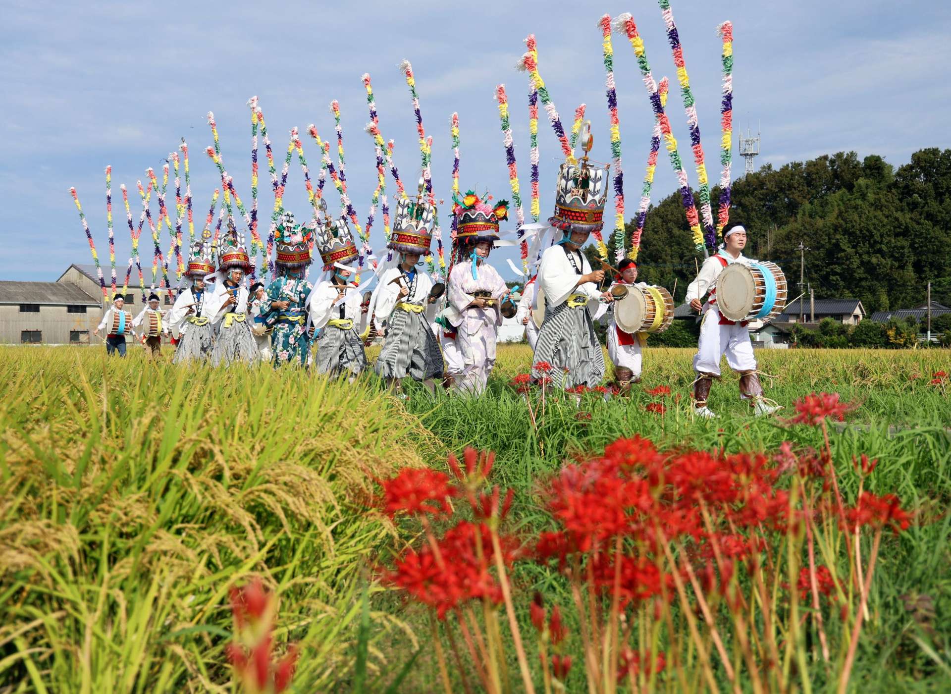ヒガンバナが彩る田んぼの脇を移動する踊り手たち＝いちき串木野市大里