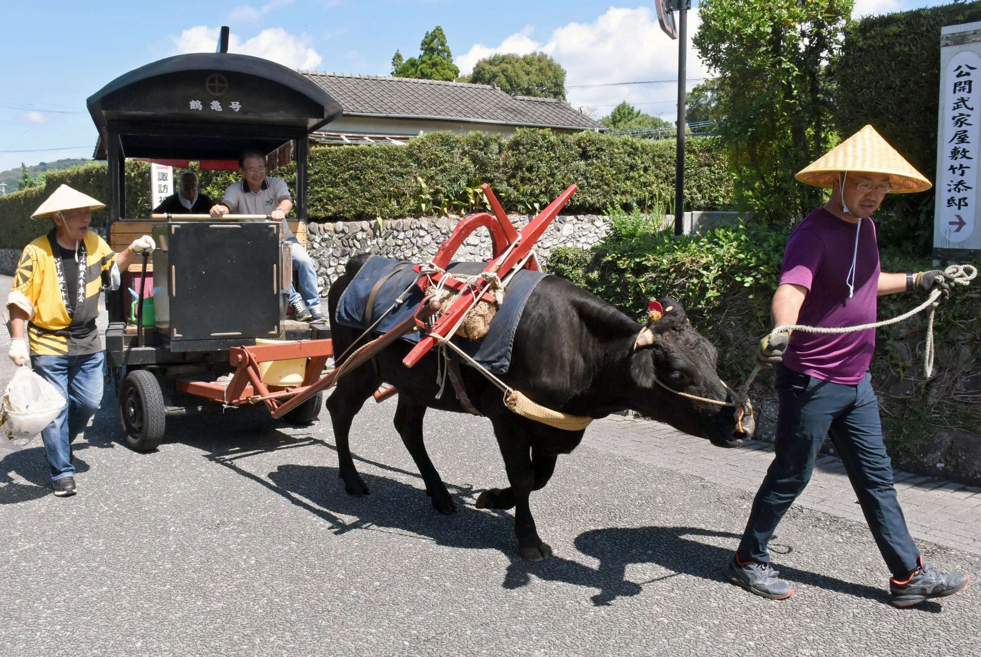 調教中に御所車を引く「ふみ」＝出水市麓町