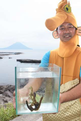 〈関連＝かぶりものが似合い過ぎる？〉タツノオトシゴハウスの１５周年と入館者５０万人突破を喜ぶ加藤紳館長＝１日、南九州市頴娃町別府