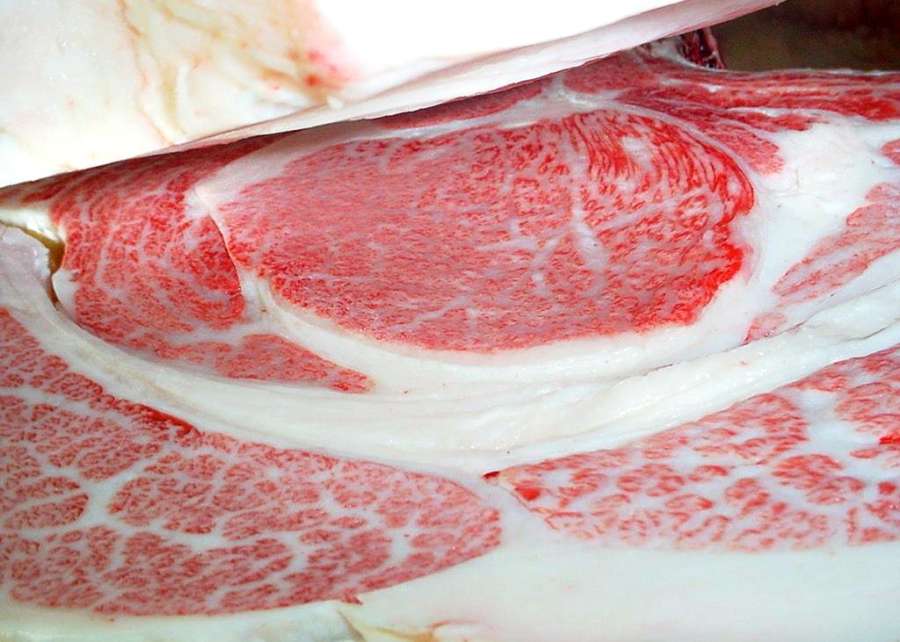 全国肉事業協同組合枝肉共励会で最高賞を受賞した福永畜産の枝肉（同社提供）