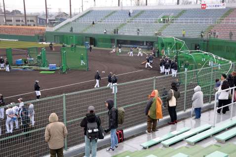 〈関連＝今春のロッテ２軍キャンプの様子〉都城運動公園野球場でロッテ２軍キャンプを見学する市民ら＝都城市妻ケ丘町