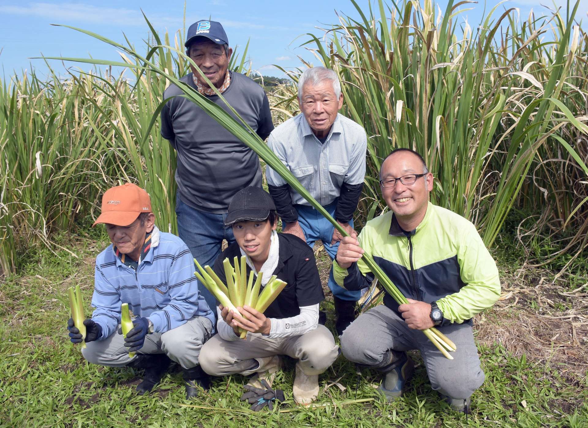 マコモダケを初収穫する農家ら＝鹿児島県大崎町永吉