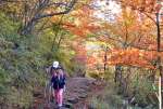鮮やかに色づく紅葉を楽しむ登山客ら＝１４日、高千穂峰登山道