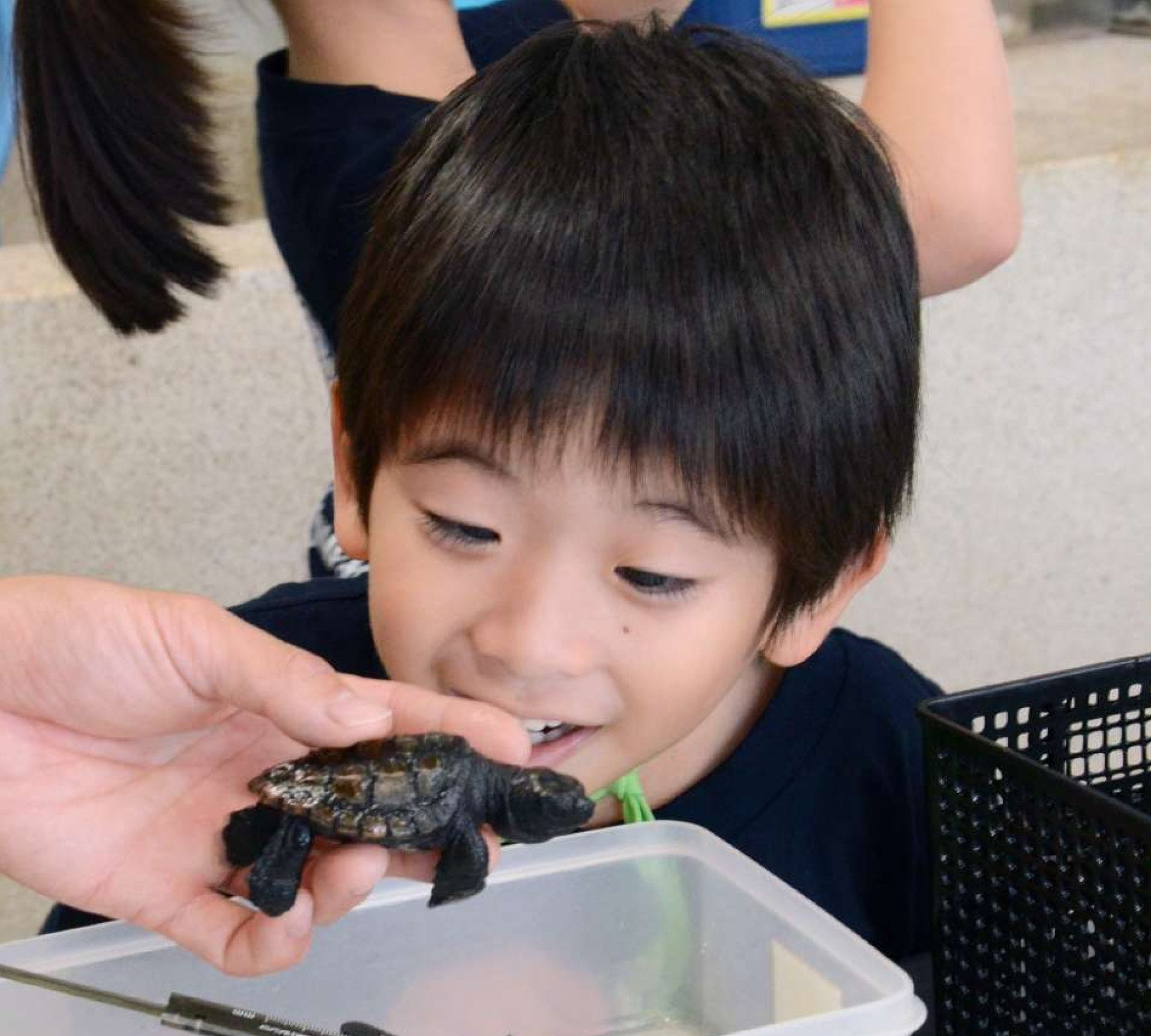 ウミガメを見て喜ぶ梅本一輝ちゃん＝鹿児島市本港新町のかごしま水族館