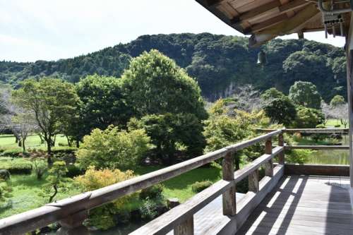 岩屋公園 サクラノヤカタ
