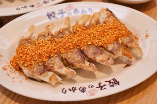 餃子居酒屋 餃子のあかり