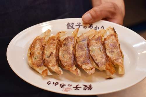 餃子居酒屋 餃子のあかり