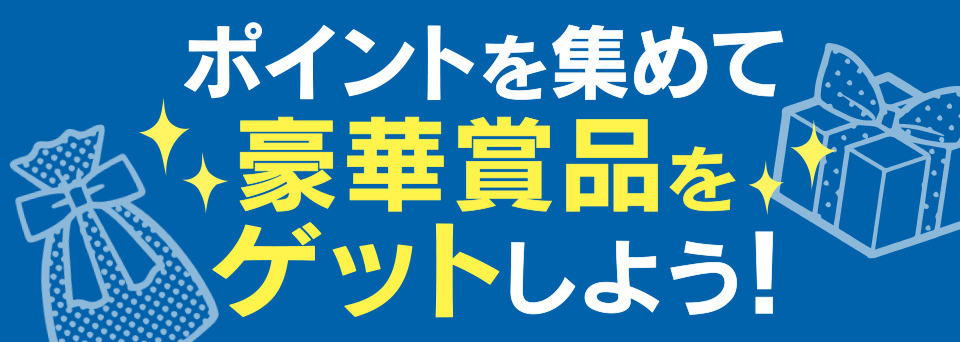 ポイント
