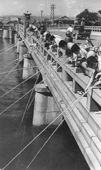 昭和35年8月、鹿児島市天保山橋。夏休みもあとわずかとなったこの日、満ち潮の甲突川にさおをおろす少年たち。釣れるのはフナ、時たまハヤ。銀鱗が宙に浮かぶたび、見物人がどっとわいた。