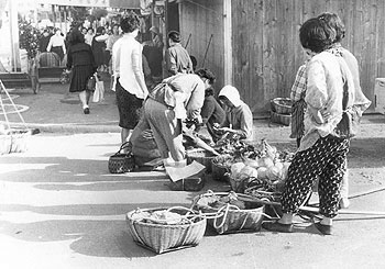 昭和45年、阿久根市街地の朝市。「十数人が篭いっぱいに野菜類をつめ、毎朝七時から八時すぎごろまで朝市がたつ。農家の主婦たちが手づくり野菜など、せっせと売りにくるもので、何十年続くかその歴史はわからない」と伝えている。