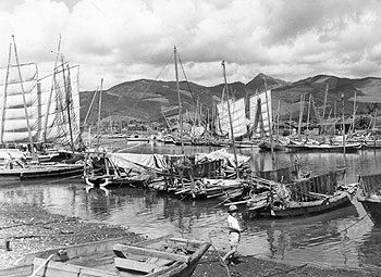 昭和33年6月、出水市名護の港。「林立する帆柱に張り揚げられた八反帆が青い海の風をそそといだいてゆれ動いている。生エビ取りの網がつるされ、夜の出漁準備に漁師たちはせわしそうに網のつくろいや網つなの整備に大わらわ」と当時の紙面で紹介している。