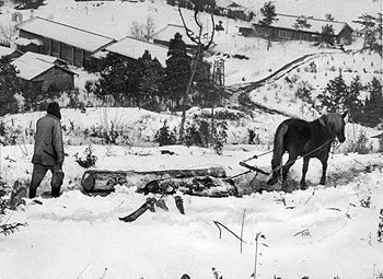 昭和38年2月、大口市山神で材木を運ぶ馬ゾリ。「真っ白なスロープを勢いよくすべる馬ゾリ。馬のはく白い息。どうみてもここが南国鹿児島とはとても思えない風景」と当時の紙面で取り上げている