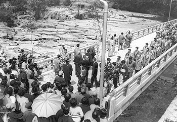 昭和37年4月、大口市曽木の滝に完成した曽木大橋の渡りぞめ。「完工式と曽木の滝神社春祭りが開かれ、完成した曽木大橋を見ようと、どっと人がおしかけ、曽木の滝公園はじまっていらいの人出となった」と紙面で報じている。