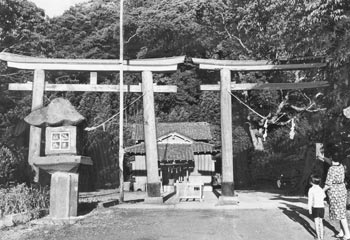 昭和５５年６月、旧根占町の諏訪神社の鳥居。紙面によると「高さ約５メートル、幅約３メートルの同じ大きさのものが並ぶ“ナゾの鳥居”。参拝者も『どっちをくぐるのやら』と思案顔」と伝えている。