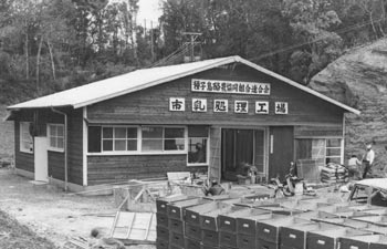 昭和４０年４月、種子島酪農協同組合連合会が建設を急ぐミルクプラント工場。当時の紙面は「４月２０日の操業開始をひかえ、最後の仕上げを急いでいる。種子島には約１５００頭の乳牛がおり、１市２町の農協が共同出資して経営。学校給食用に５月から配給する」と伝えている。