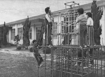 昭和５５年３月４日、４月から無人化する馬毛島の馬毛島小学校。当時の紙面は「３月現在の住民は１３世帯３８人だが、このうち馬毛島小・中校の教職員関係が９世帯で、４月から居住者がいなくなることが確実になった。市営の通船『馬毛島丸』も休止する。学校は廃校の措置を取らず、校舎や施設はそのまま残す」と報じている。