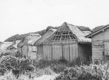 昭和４５年７月、馬毛島のトビウオ小屋。紙面によると「船だまりの近くに建つカヤぶきの小屋が並ぶ。最近まで利用されていたトビウオ漁のための漁師小屋。漁師たちは５月のシーズンになると網や食糧などをもって渡り、泊まり込みで漁に励んだ。数年前から船が大型高速化して小屋を使う人も減り、昔の名残をとどめるだけ」と伝えている。