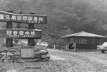 昭和５０年１２月、自然休養林「白谷雲水峡」入り口に整備された休憩舎。紙面は「白谷雲水峡は昭和４６年に自然林、屋久杉の保全と大自然の魅力を味わってもらおうと設けられた。年々登山客が訪れており、来春の登山シーズンに備え、標高６４０メートルの白谷川橋のたもとに休憩舎を整備した」と報じている。