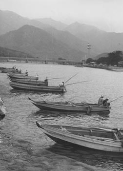 昭和４３年８月、宮之浦川でボラ釣りが最盛期に。当時の紙面は「河口付近には釣り船十数隻が並び、水面に糸をたれる姿が連日見られる。エサはふかしたカンショと米を練り合わせたダンゴ、まきえにもカンショを使う。２キロ、３キロの大物や、日に３０匹もあげる人もいた」と報じている。
