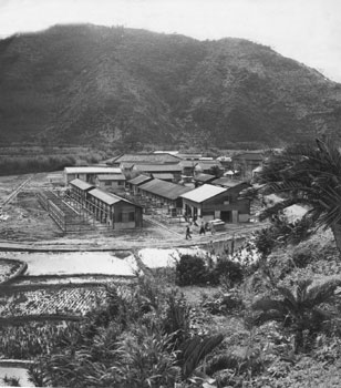 昭和３２年３月２４日、旧名瀬市浦上町に移転した鹿県農事試験場大島分場。紙面には「奄美郡内の農産試験研究の中枢として整備強化のため、予算８３００万円をかけて建設。本館２棟のほか、畜舎７棟、収納舎・倉庫１棟や公舎４棟を２年４カ月かけて完工し、２０日落成式が行われた」と紹介している。