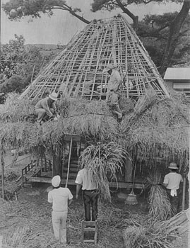 昭和６０年７月２３日、龍郷町大勝小に保存される高倉のカヤブキ屋根のふき替えの様子。紙面によると「高倉は１５０年前に建てられたもので今も学校水田の米貯蔵使用に『現役』。１３年ぶりに校区民総出でふき替え作業を行った。金釘を使っていないのが特徴で、カヤを横木で押さえ、それを縄でゆわえて造った屋根を丸太の柱で支えている。湿気をふせぐ高床式で、奄美では多く残っていたが近年急速に減少している」と紹介していた。