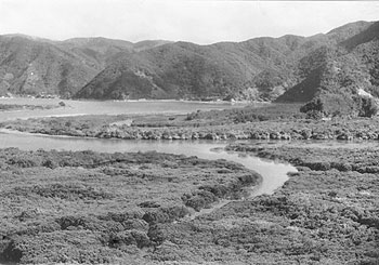 昭和４１年７月２１日、豊かな自然の残る住用のマングローブ自生地。紙面によると「住用村には奄美一の河川、住用川をはじめ役勝川、川内川、金久田川、山間川と流れ、海近くにひらけた平地部をヘビのようにうねりながら海に注いでいる。湖水のように静かな内海と熱帯特有のマングローブ林はすばらしい観光資源。アユやカニ、イセエビなどの水産資源にも恵まれる」と伝えている。