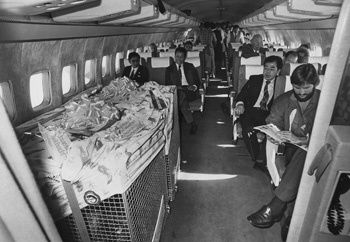 昭和５９年１０月２７日、コアラのために旅客機を特別チャーター、輸送作戦だけでも６００万円。当時の紙面によると「夢の動物の誘致に鹿児島市がいくら投資したか、概算してみると約２億１０００万円となった。最も高額だったのは動物園のコアラ舎で１億３０００万円。そのほか獣医ら４人の研修費に５００万円、エサのユーカリ関係でも１７００万円。ＶＩＰ並みの輸送作戦には旅客機チャーターや専用車まで６００万円かかった」と伝えている。