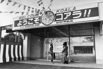 昭和５９年１１月、一般公開の１１月２０日を目前に２匹の名前が「はやと」と「ネムネム」に。当時の紙面では「一般公開をひかえて、コアラ舎は飾り付けや順路整理など準備も万全。２匹のコアラも新しい環境にすっかり慣れ、体調は良好という。『ようこそ　はやと、ネムネム』の看板も入り口にかけられ、初日からかなりの混雑が予想されるため、誘導ロープの準備や迷子本部も設置された。園側は日曜には３万人を上回るものと予測し、警備などに約１００人を動員する」と紹介していた。