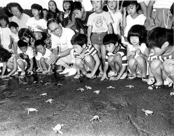 昭和６３年６月１日、全国でも初めての県ウミガメ保護条例が施行、産卵地を抱える県内の主要１５市町村では監視員によるパトロール制度などが始まった。写真は同年９月４日午前６時２０分、礒海水浴場。子供たちが見守る中、海をめざす子ガメたち。紙面では「薄暗い海岸には約８００人の市民が詰めかけ、懸命に海をめざすカメたちを声援。体長５センチ足らずの小さな群れは、今年も５３万都市の片すみに大きな自然のロマンを残して旅立っていった」と報じている。