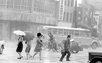 昭和４２年６月８日、桜島の降灰に目もあけられぬ鹿児島市内。紙面では「爆発とともに多量の灰が、桜島の西側地区、とくに鹿児島市周辺から伊集院地区にかけて降った。鹿児島市の市街地では、一時、町が茶色にかすみ、通行人は目もあけられないほど。婦人はカサをさしたり頭をおおったり、また目に灰が入って泣き出す子もいた。灰は電車やバスの窓ガラスのすき間からも飛び込み、またビルのなかもざらざら。」と報じている。