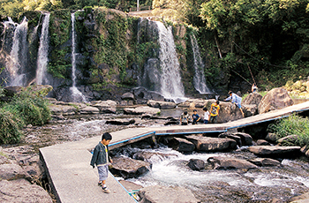 曽於郡財部町大川原峡にある桐原の滝。溝ノ口川の源流である十数本の瀑布（ばくふ）が、ゴウゴウと音をたて、１２メートルの高さから水しぶきを飛ばしている。平成７年、周辺を公園化したさい、滝の下流に、曲がりくねったコンクリート製の歩道が渡された。ゴールデンウイーク中の公園。大勢の家族連れらが、清流で釣りや水遊びを楽しんでいた。（平成１１年５月）