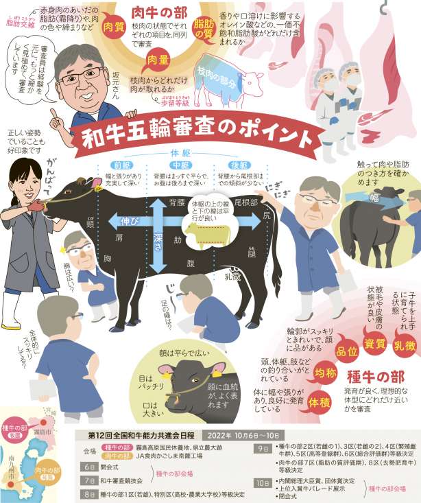 全国和牛能力共進会（全共）の歩み